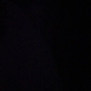 Meet your Posher, Shantae